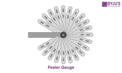 FEELER Definition & Meaning .